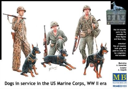 Picture of Dogs in service in the US Marine Corps, WW II era 