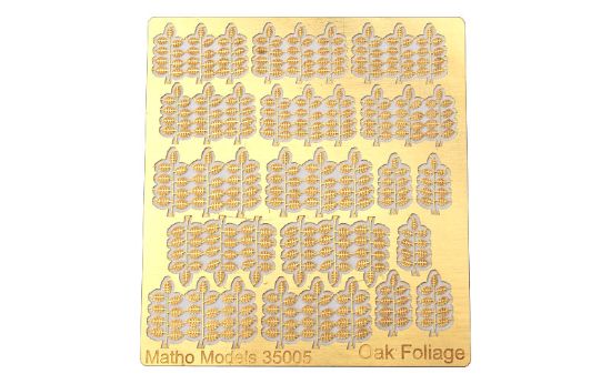 Picture of Oak Foliage