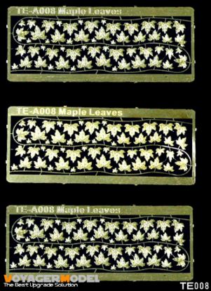 Picture of Maple Leaves  (Same as TE008)