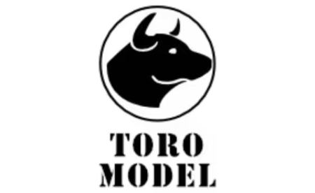 Picture for category TORO model